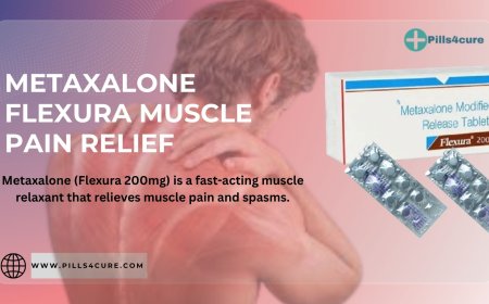 Your Complete Guide to Understanding and Managing Muscle Pain: From Types to Treatment