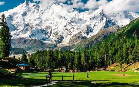 Journey Through Swat, Kalam, and Chitral: A Northern Escape