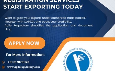 Apply for CAPEXIL Certificate with Expert Guidance