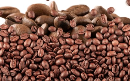 Discover the Aroma and Power of Authentic Coffee Beans