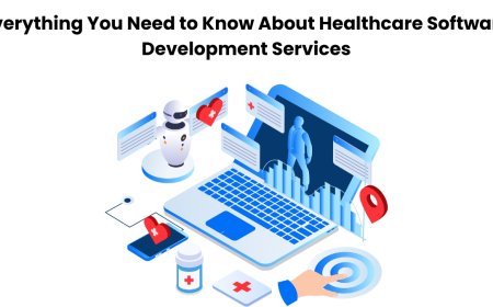 Everything You Need to Know About Healthcare Software Development Services