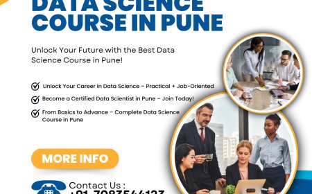 Master the Future with the Best Data Science Course in Pune