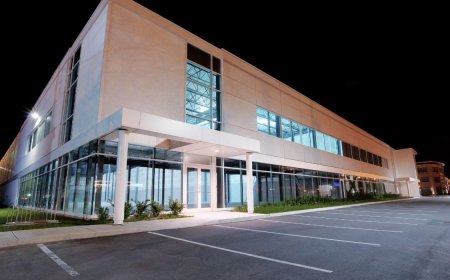 Top Design Trends in Commercial Landscape Lighting