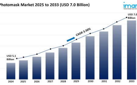 Photomask Market Share, Growth & Trends Report 2025-2033