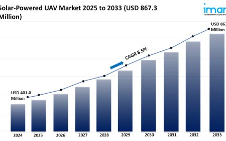 Solar-Powered UAV Market Trends, Growth & Forecast 2025-2033