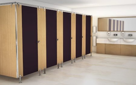 Shower Partition Manufacturers: Smart Design Solutions for Modern Bathrooms