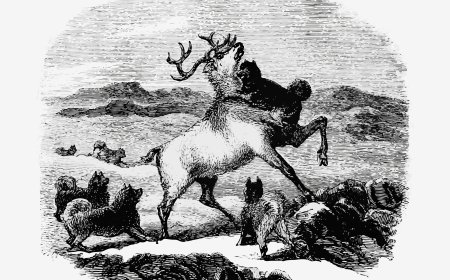 How to Select the Best Laser Engraving Service in Marysville, WA: A Quality Checklist.