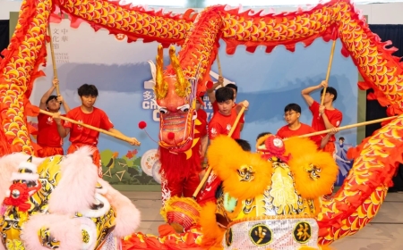 Unveiling the Soul of Chinese Culture Arts with China Art Hub