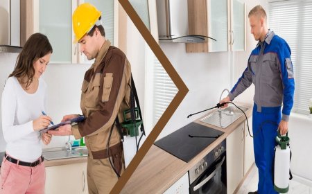 Signs of Rodents Most Homeowners Miss Until It’s Costly