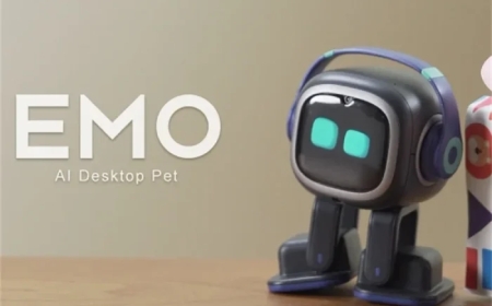 Meet the Future at Home: Discover the Power of the Smart EMO Robot