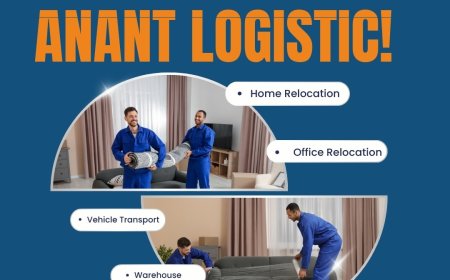 Packers and Movers East Delhi with Personalized Moving and Pet Services