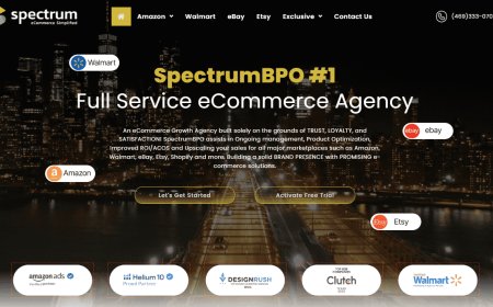 Scaling Your Store: How SpectrumBPO Accelerates Online Business Growth