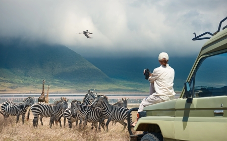 Top 10 Must-Visit National Parks on Tanzania Tours and Safaris