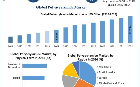 Polyacrylamide Market Future Scope, Demands and  Industry Growths Forecast 2025–2032