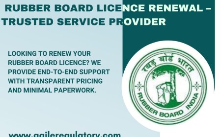 Hassle-Free Rubber Board Licence Renewal with Expert Help