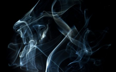 Australia's Evolving Market for Tobacco Alternatives: Where Convenience Meets Quality