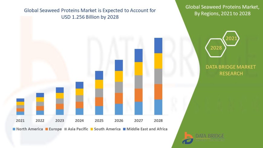 Seaweed Proteins Market: Insights and Competitive Analysis