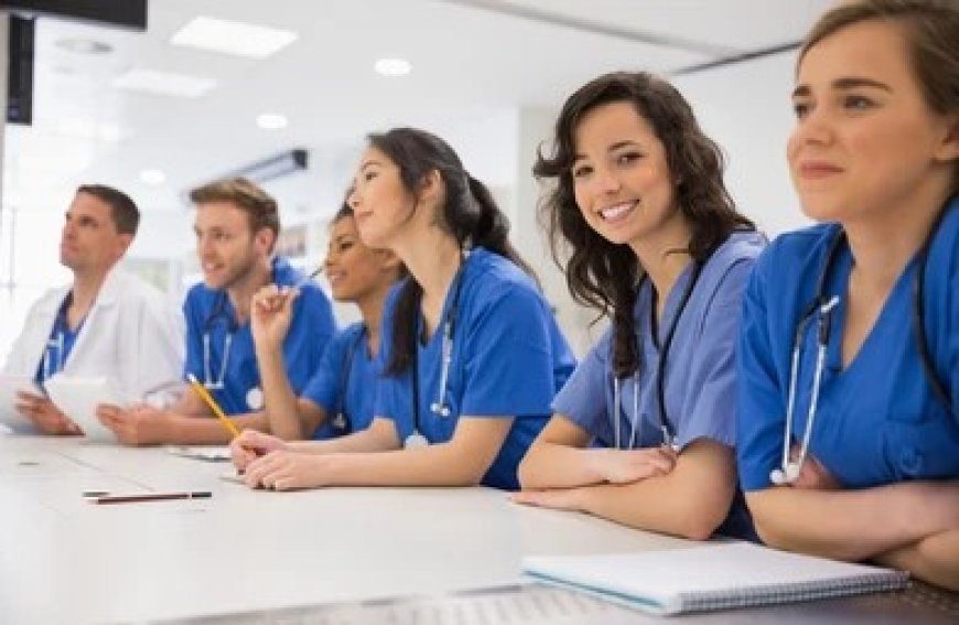 How to Choose the Right Medicine Summer School: Key Things to Consider