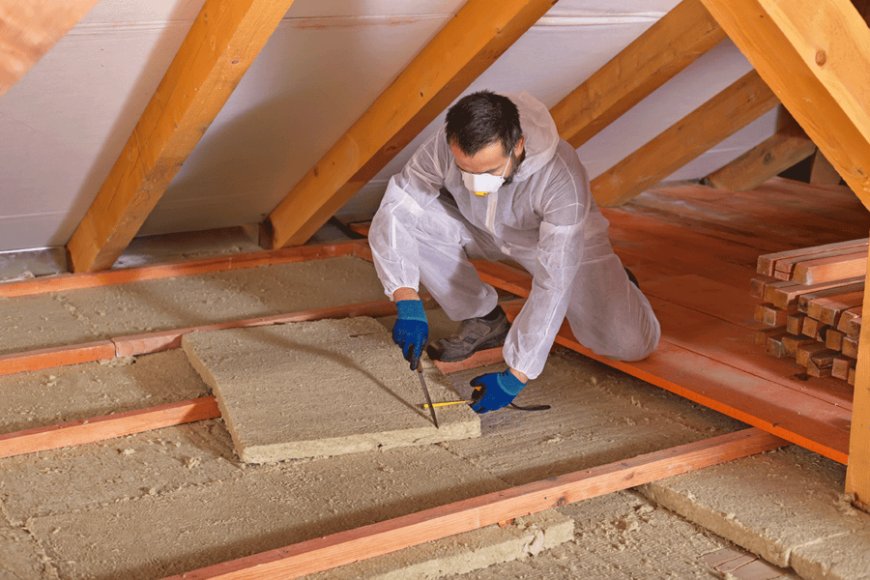 Attic Insulation: Everything You Need to Know to Keep Your Home Cozy and Efficient