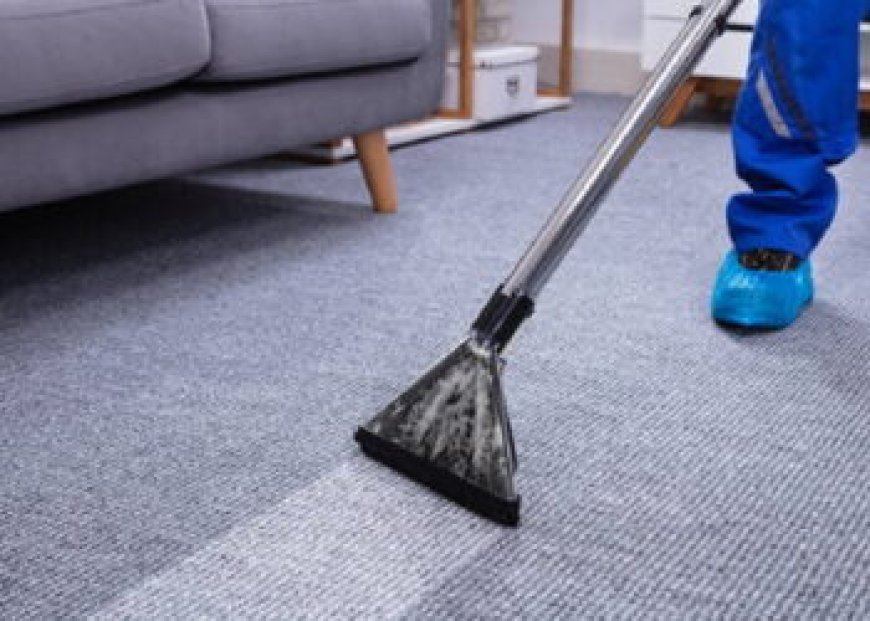 Why Professional Carpet Cleaning Services Are Vital for a Healthy Home