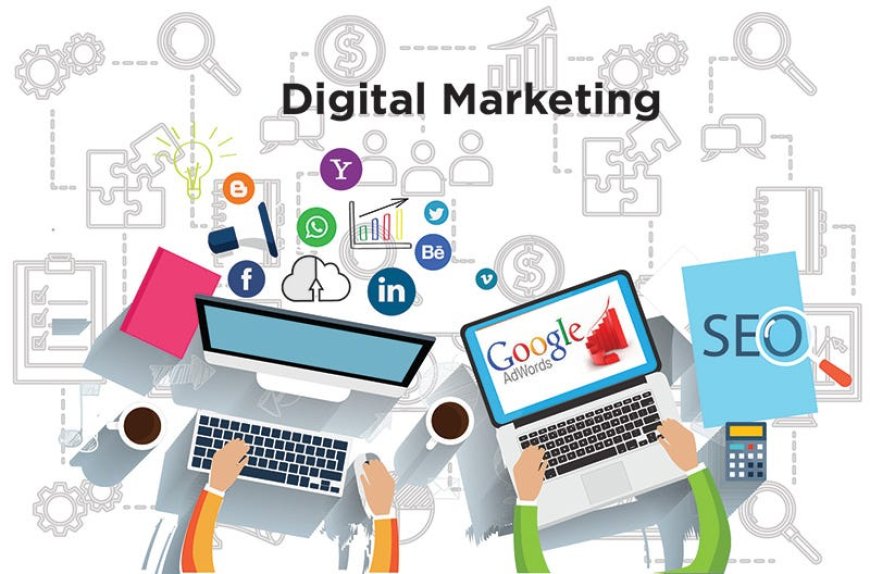 Dominating Local Search: Top SEO Services in Noida for Businesses