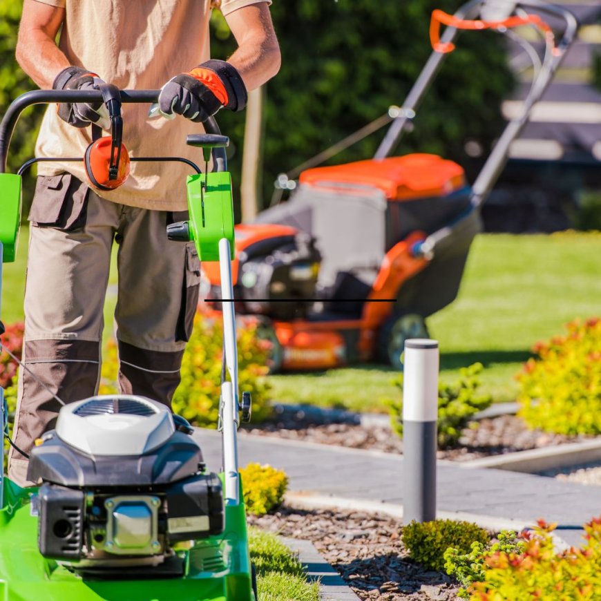 Eco-Friendly Landscape Maintenance Practices That Save Money