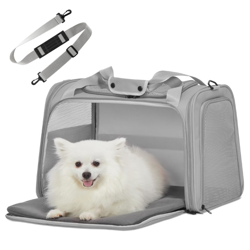 Exploring the Perfect Bond Between a Dog and Carrier: Comfort, Safety, and Style