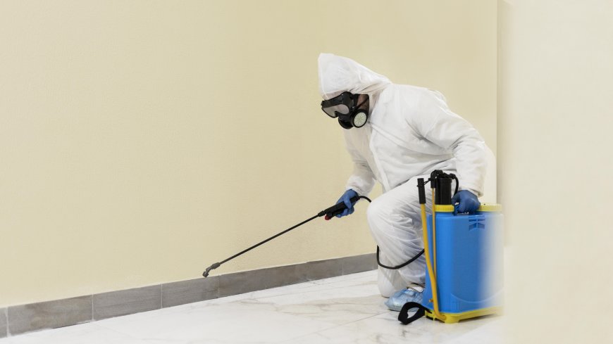Clearing the Air: Understanding Mold Fogging Indiana for a Healthier Home