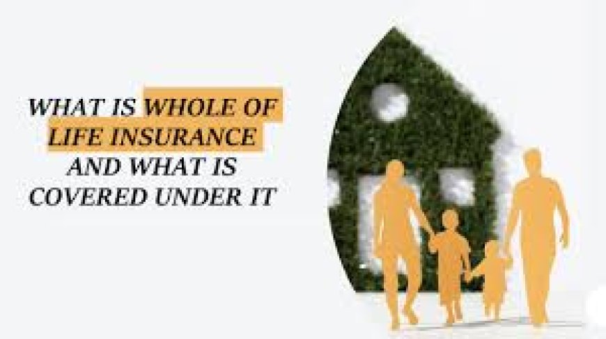 A Complete Guide to Simple and Affordable Top Term Life Insurance with Covered Life