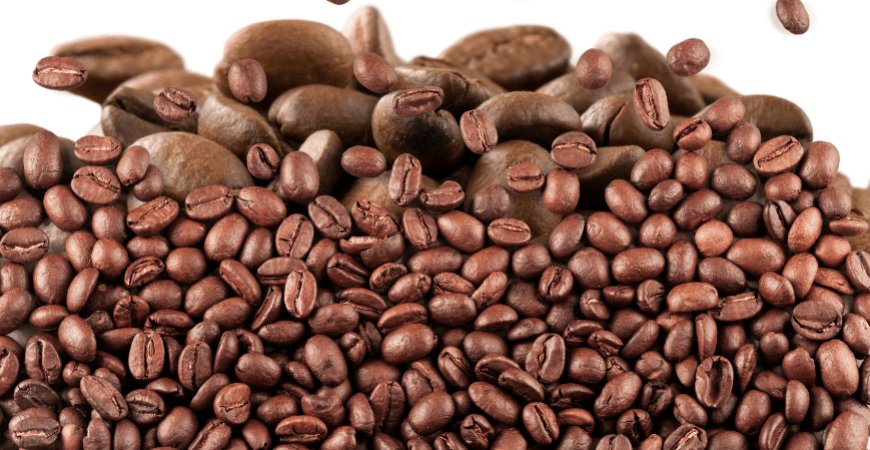 Discover the Aroma and Power of Authentic Coffee Beans