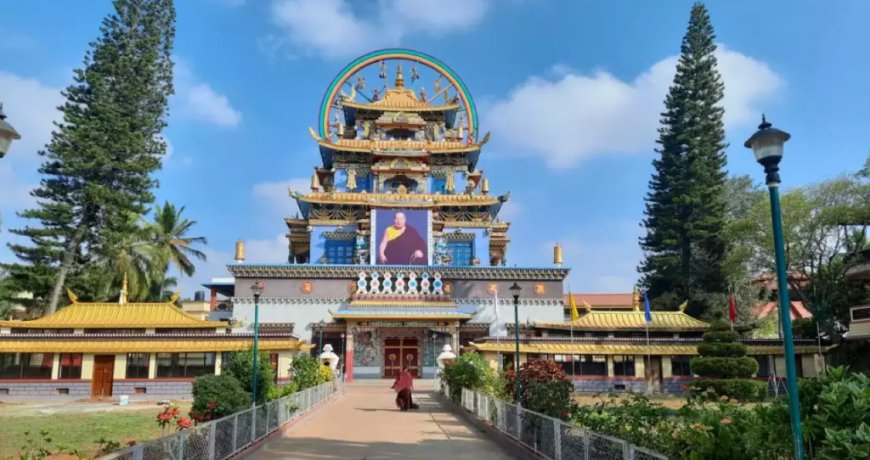 Explore Nature’s Paradise: Coorg Tour Packages from Bangalore