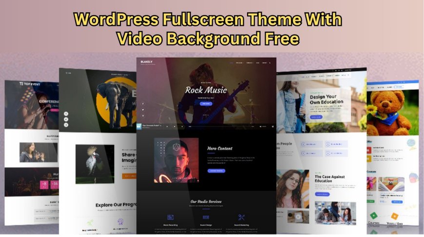 Why Everyone Choosing Fullscreen Video Background WordPress Theme?