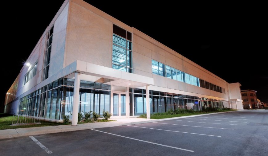 Top Design Trends in Commercial Landscape Lighting