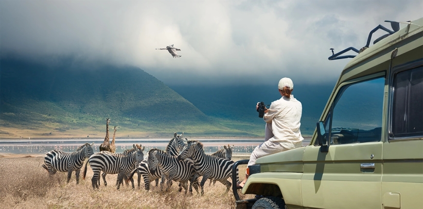 Top 10 Must-Visit National Parks on Tanzania Tours and Safaris